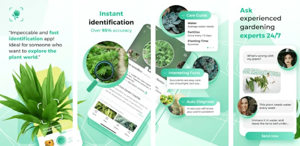 PictureThis: Identify Plant, Flower, Weed and More
