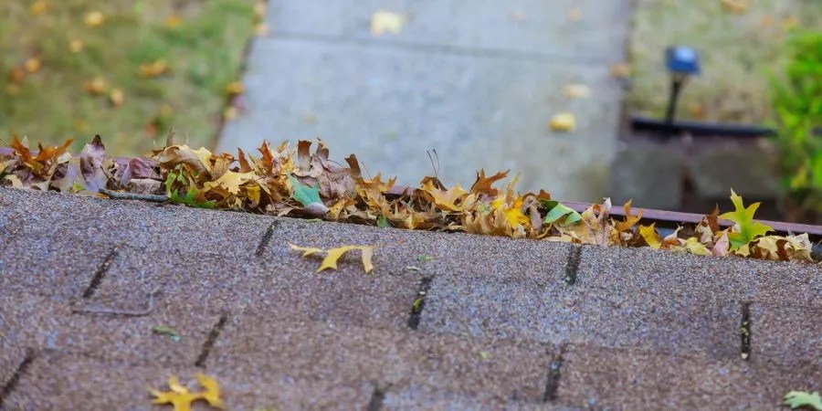 Gutter filled with leaves