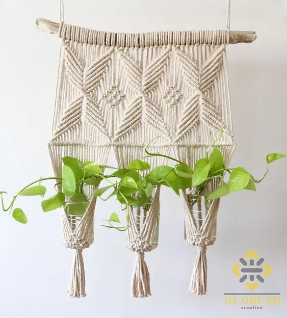 Natural Cotton Macramé Plant Hanger used for propagating Pothos cuttings