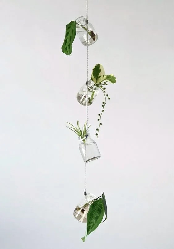 4 jars hanging by a rope