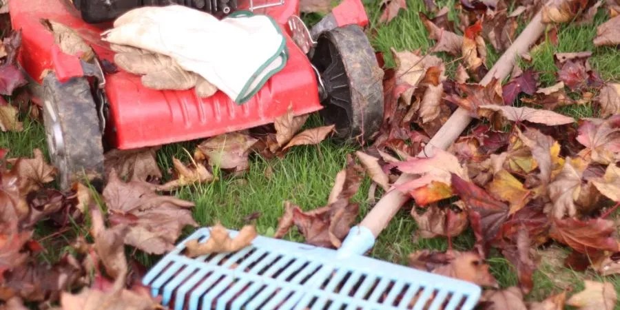 A lawn sweeper standing next to a rake lying on a lawn covered in leaves.