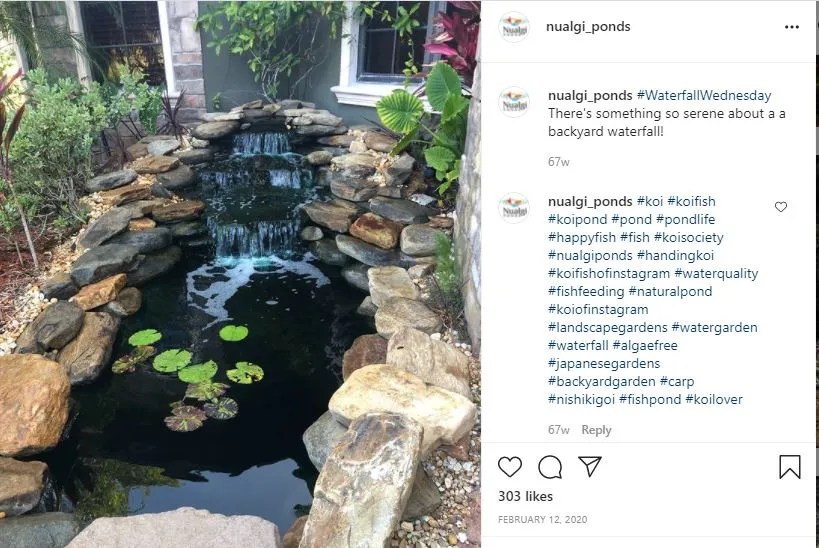 small cascade waterfall pouring into koi pond with floating plants