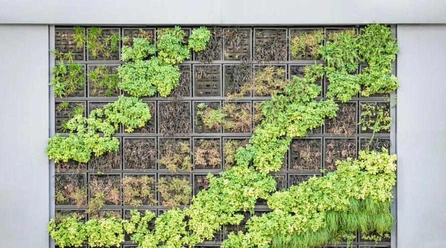 plants growing on fence
