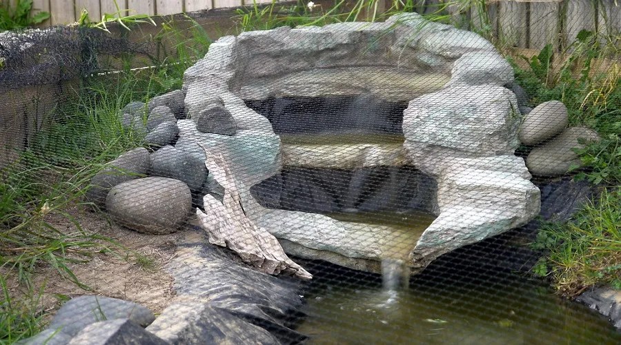 net over backyard pond