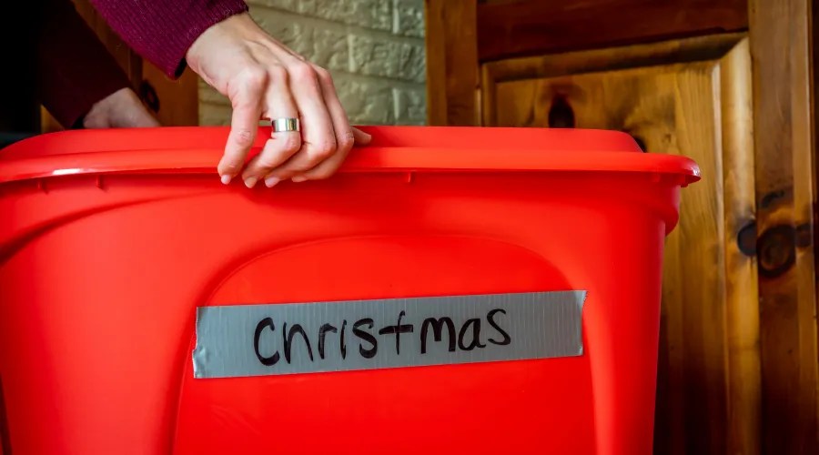 labelled Christmas bin