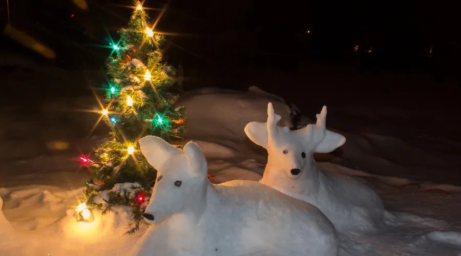 snow sculptures