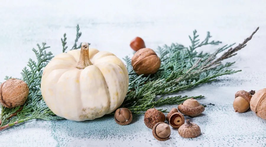 White Decorative Pumpkins