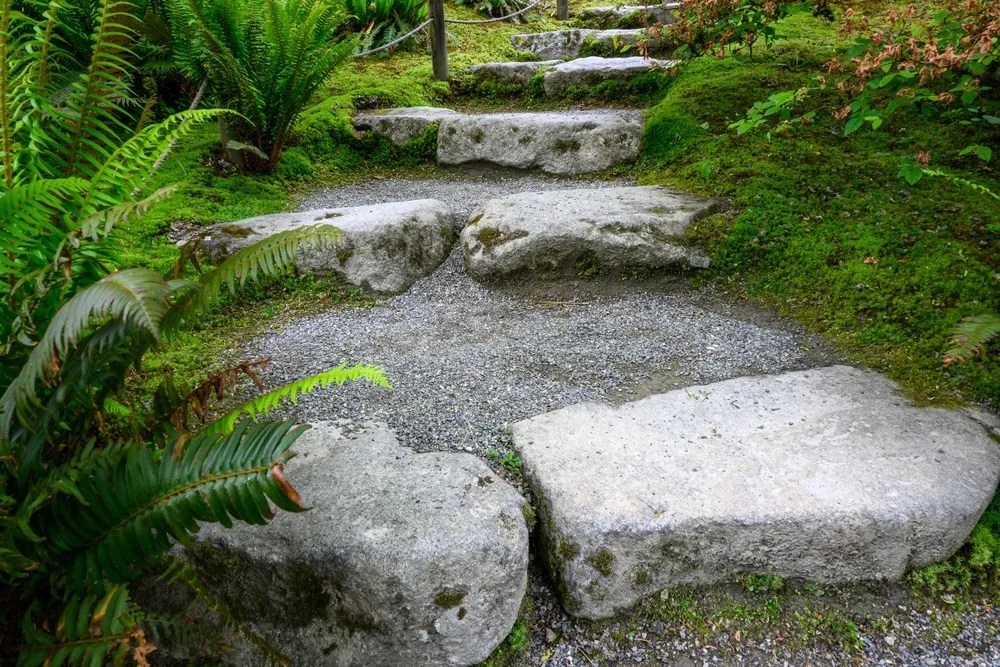 Stone steps in a peaceful Japanese garden, sword ferns lining the stairs
