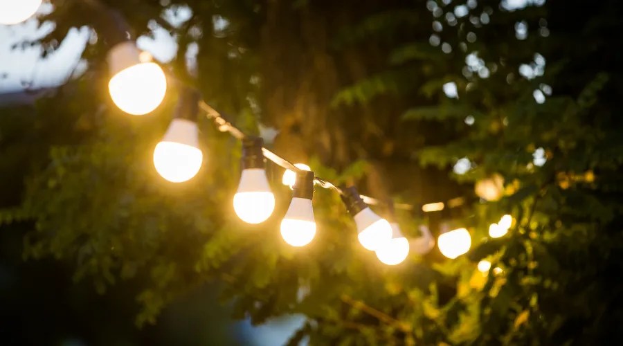 Garden lights on a string