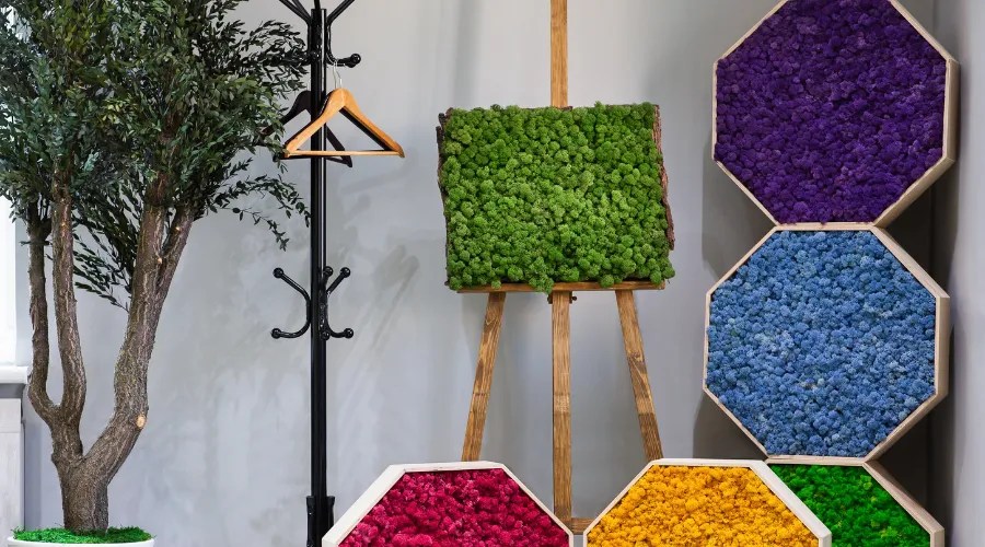 Ecology art. Colorful moss on picture on wall