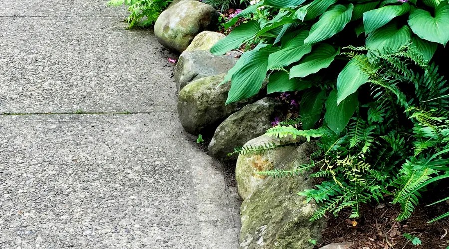 Garden with Rock Edging