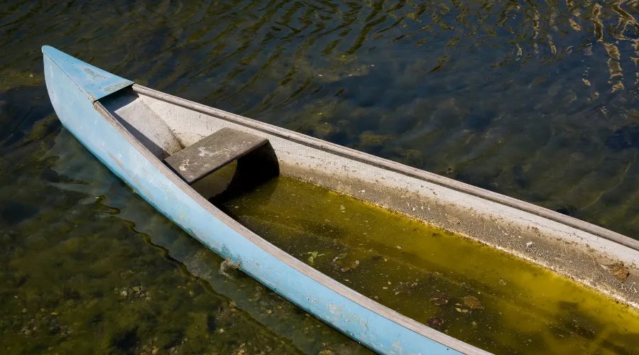 Flooded Canoe