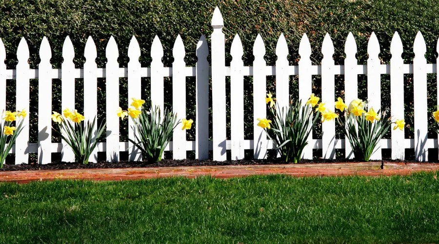 Picket Fence