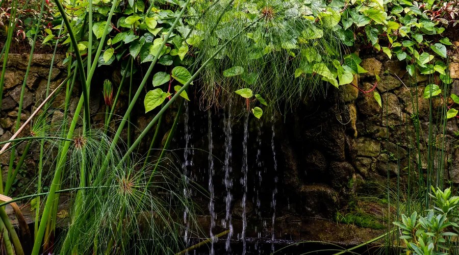 PONDLESS WATERFALL