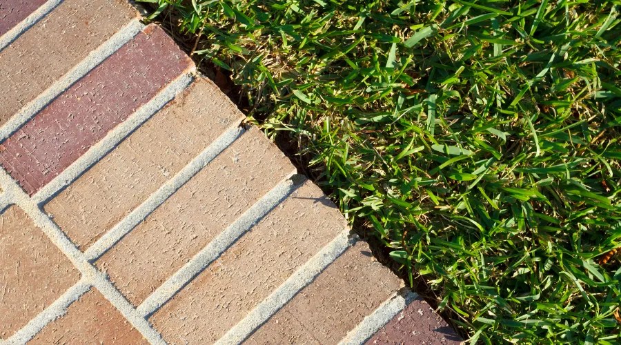 Brick Pavers Walkway Edge And Lush Green Grass