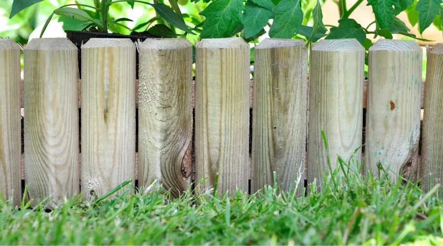 wooden border in grass