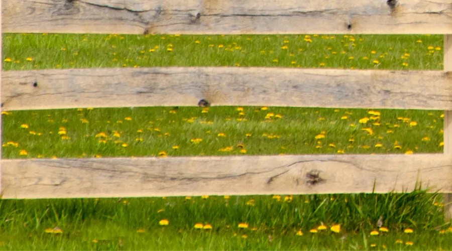 New Wooden Rail Fence