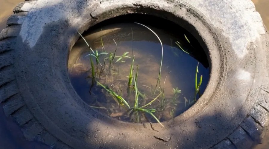 Trashed Tire in River
