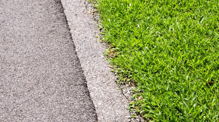 Walkways and concrete edges beside the lawn