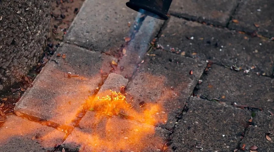 flames to get rid of weeds