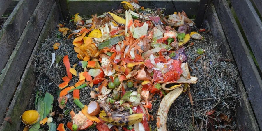 compost in bin
