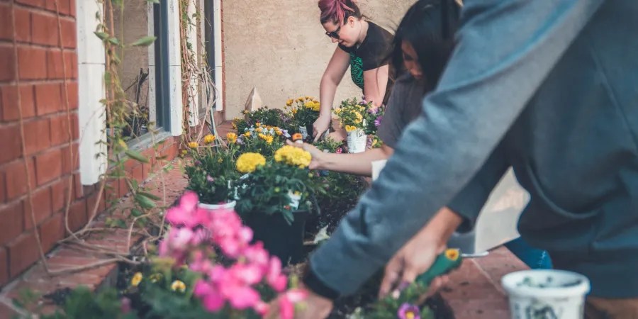 Group of people gardening together