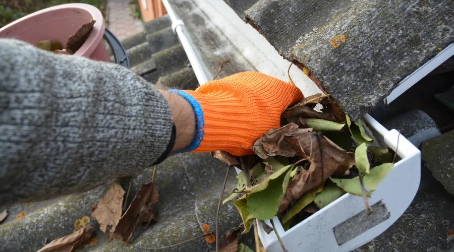 Rain Gutter Cleaning from leaves in autumn with hand