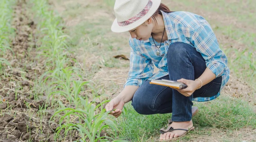 woman inspecting garden