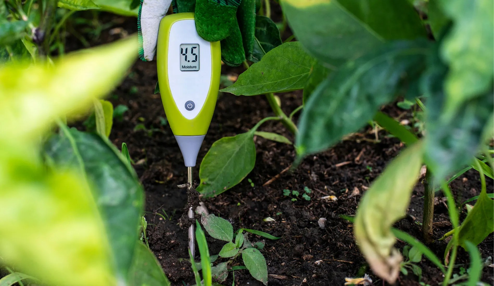 soil tester