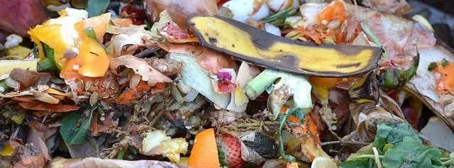 Vegetable and Fruit Compost