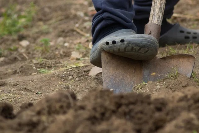 Digging Shovel into Soil