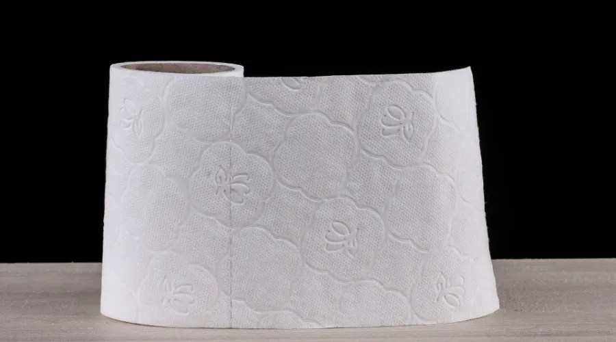 a roll of toilet paper