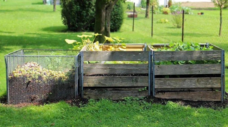 Compost boxes with plants and compostable items within