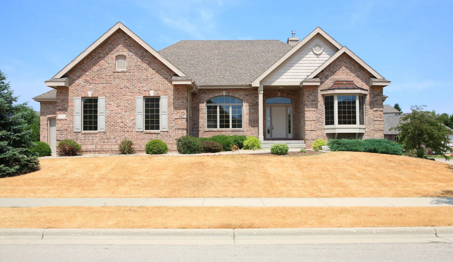 Suburn Lawn During Drought