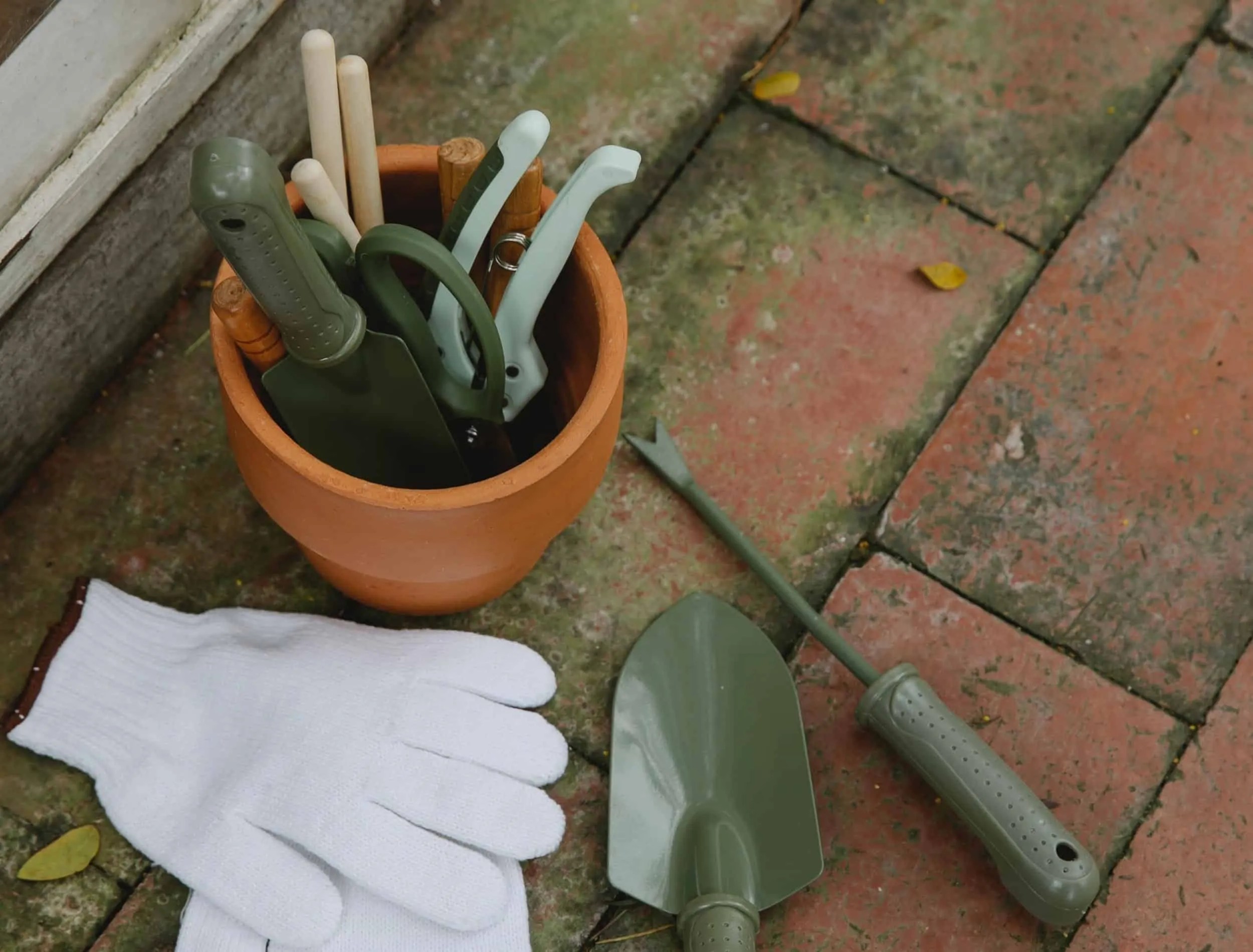 Gardening tools in pot near gloves