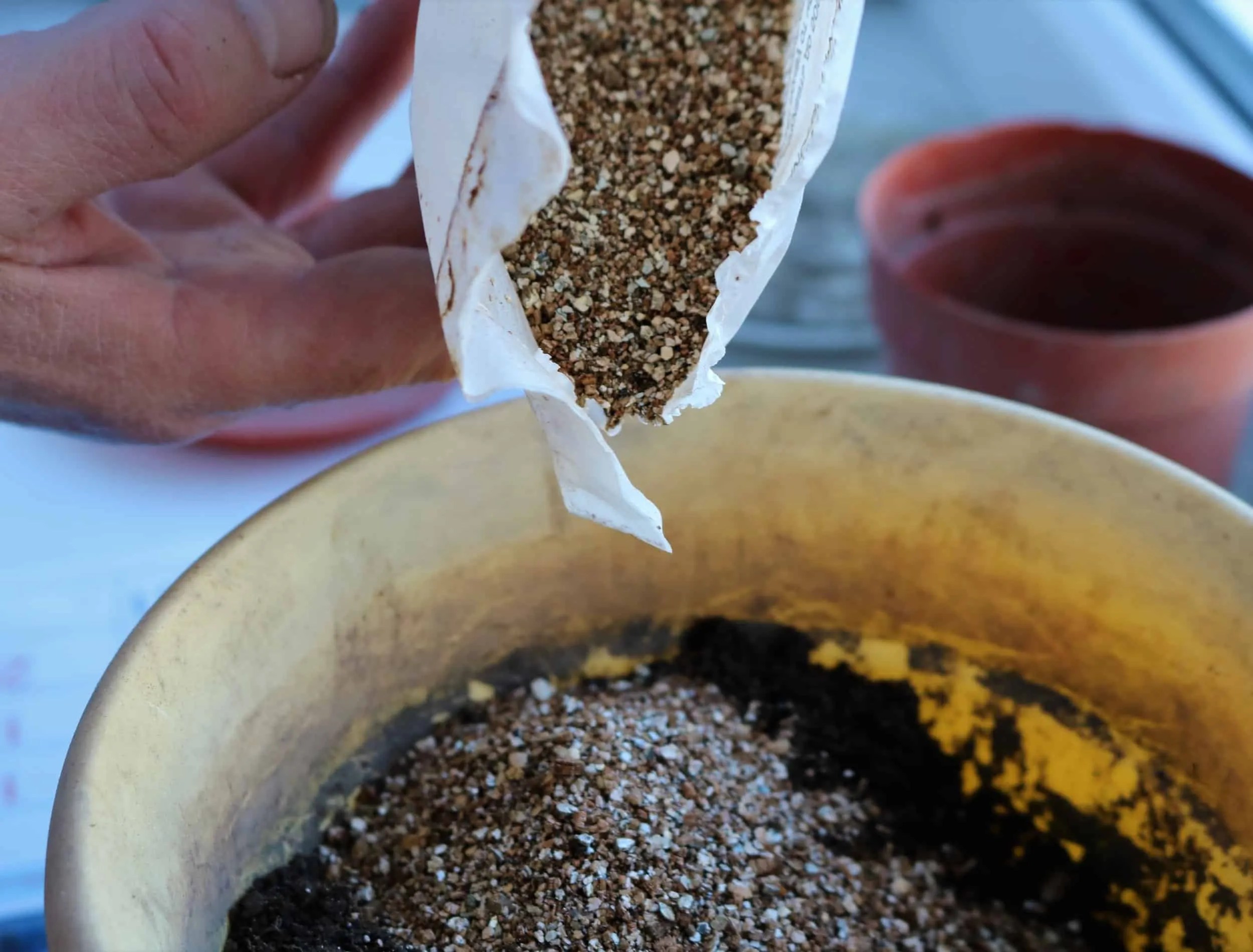 pouring vermiculite from a factory package into a pot of soil to prepare a mixed soil for seed germination in the spring, adding granules to improve potting soil for seedlings at home