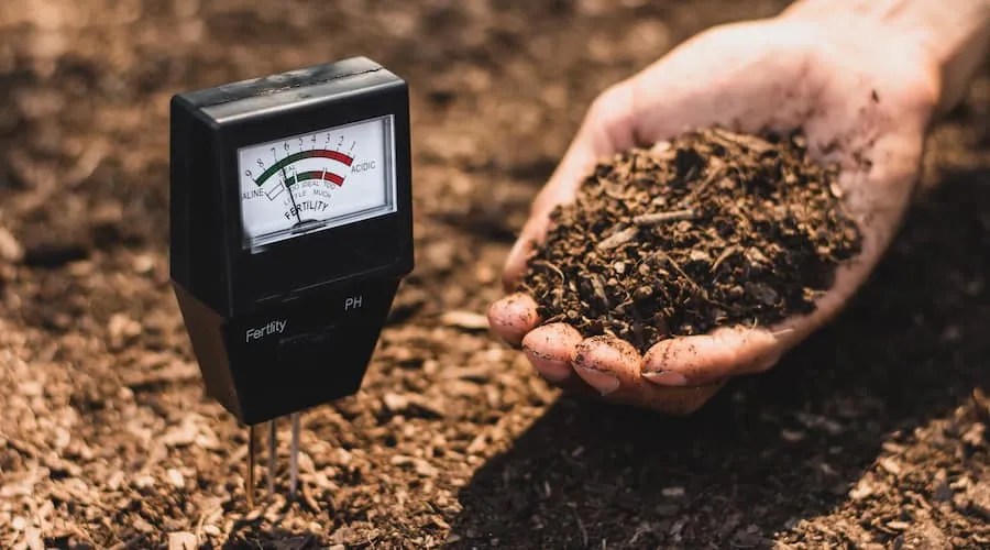 Soil meter that is currently being used in a loam that is suitable for cultivation.
