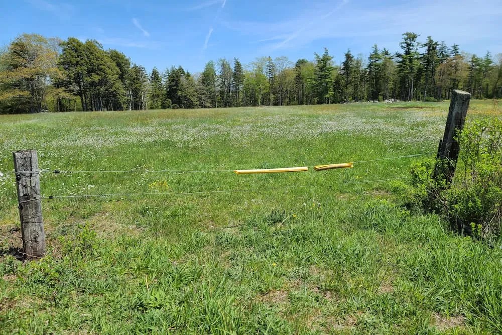 Two wooden stakes with metal thread fastened to each one. The metal thread is to mark private property and stop intruders from trespassing. There&rsquo;s a large field and dense woods in the distance.