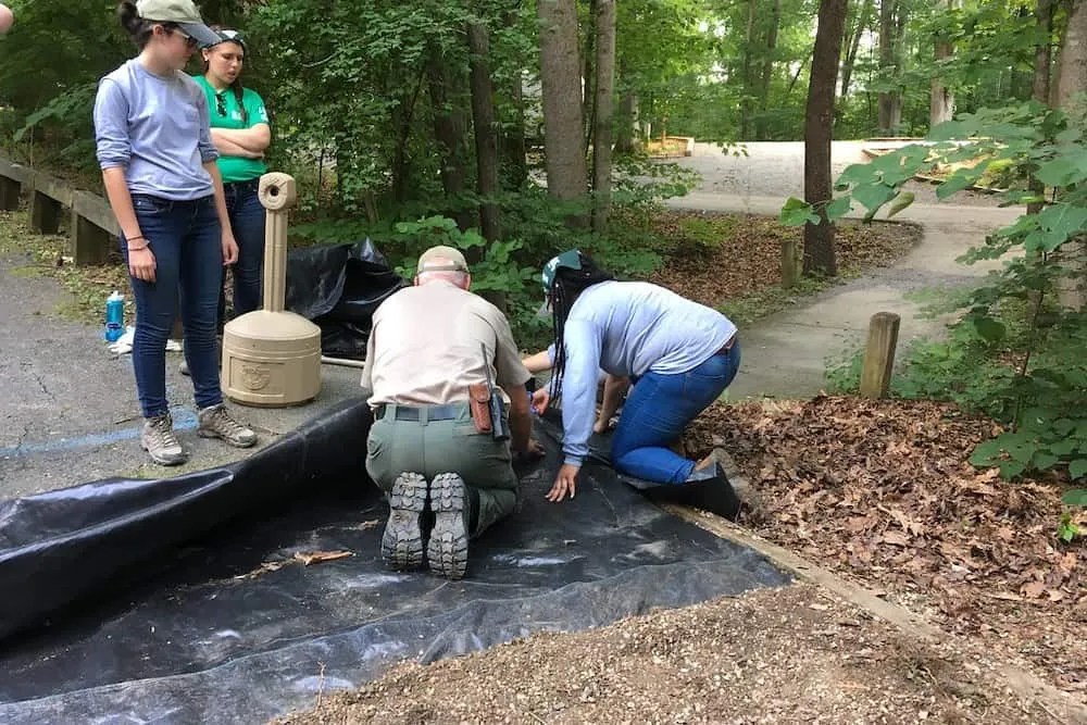 How to Clear Overgrown Weeds