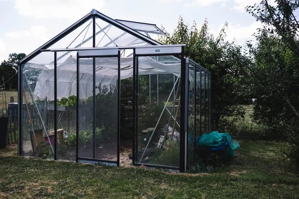 greenhouse