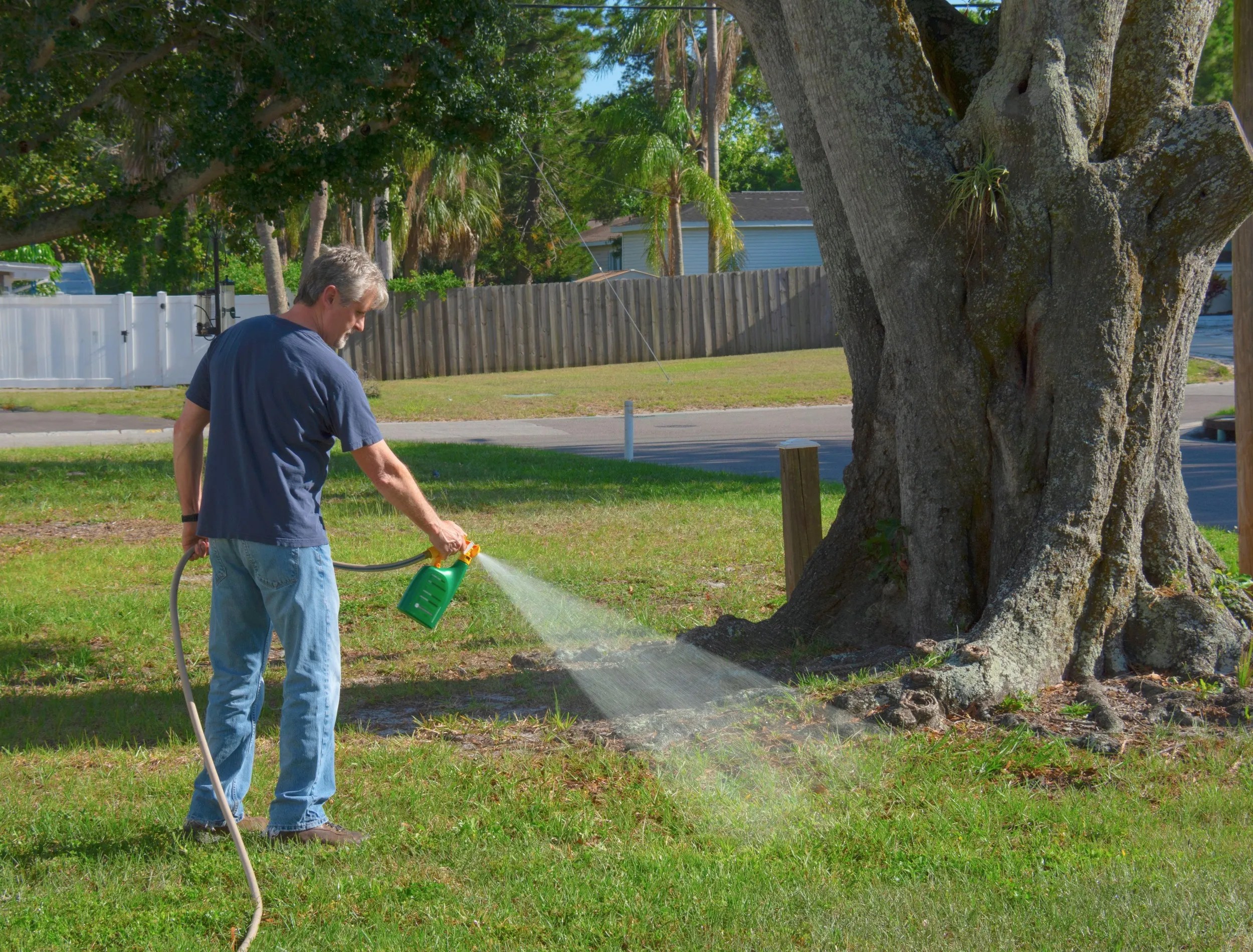 Homeowner man spraying weed killer on his front yard with a hose attachment full of chemicals that kills weeds and fertilizes the grass.