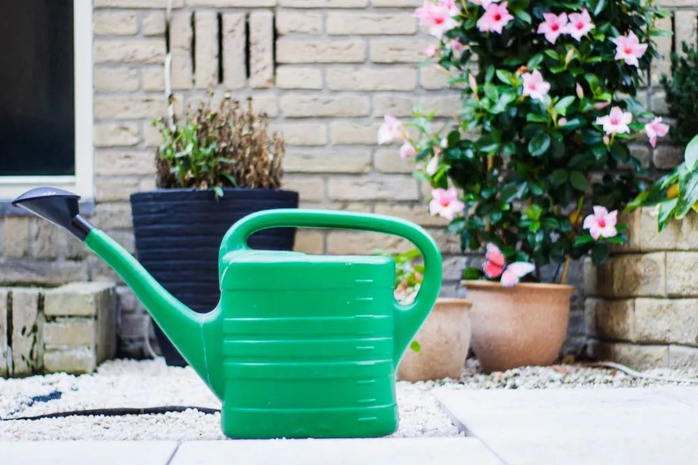 Watering Can
