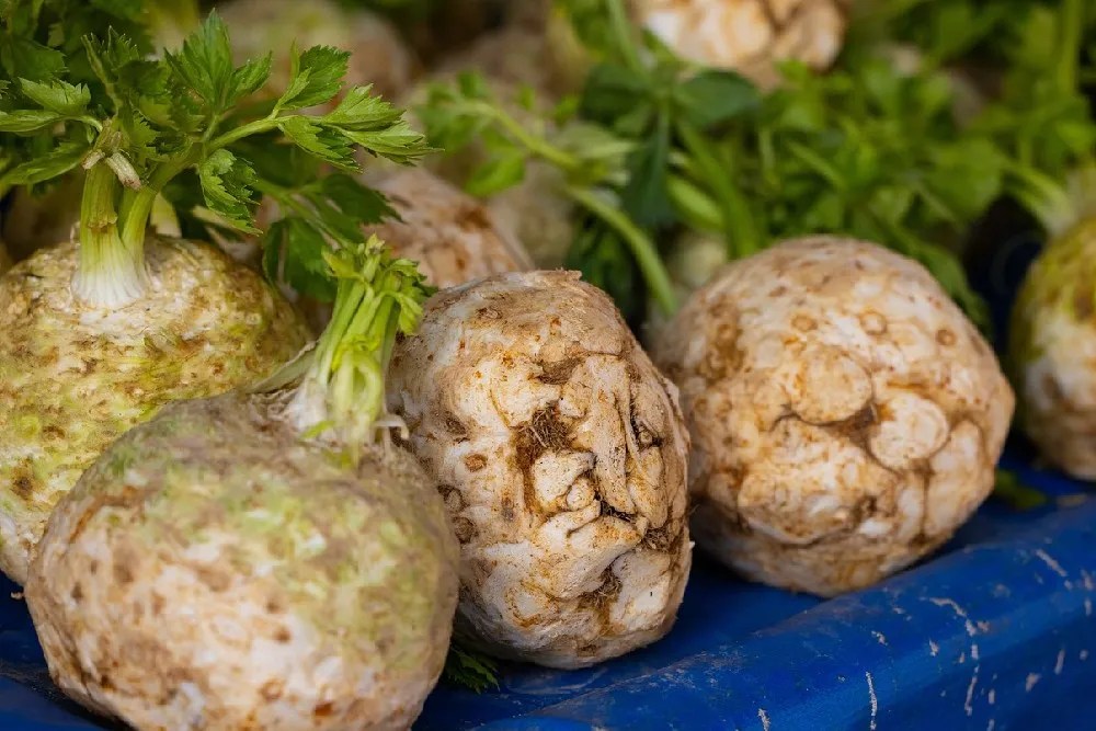 a bunch of celeriac