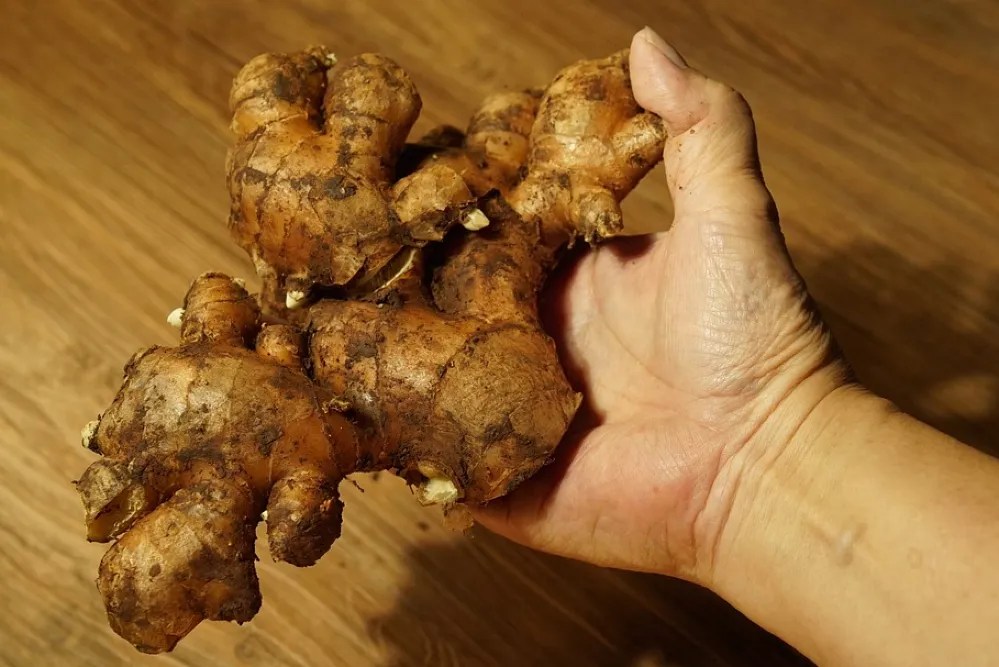 Ginger root