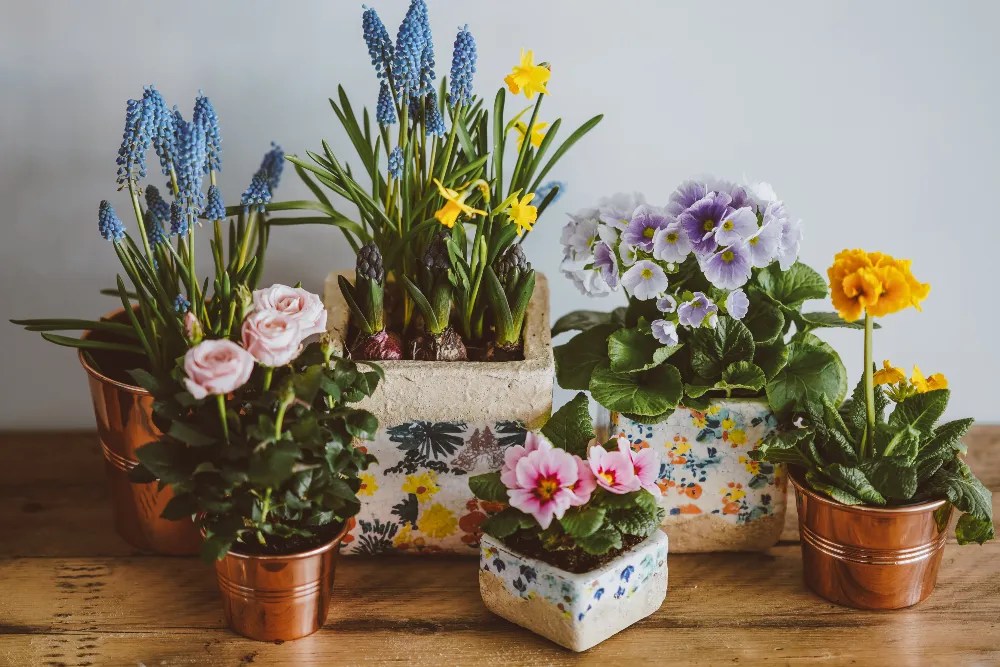 Copper spring container garden ideas