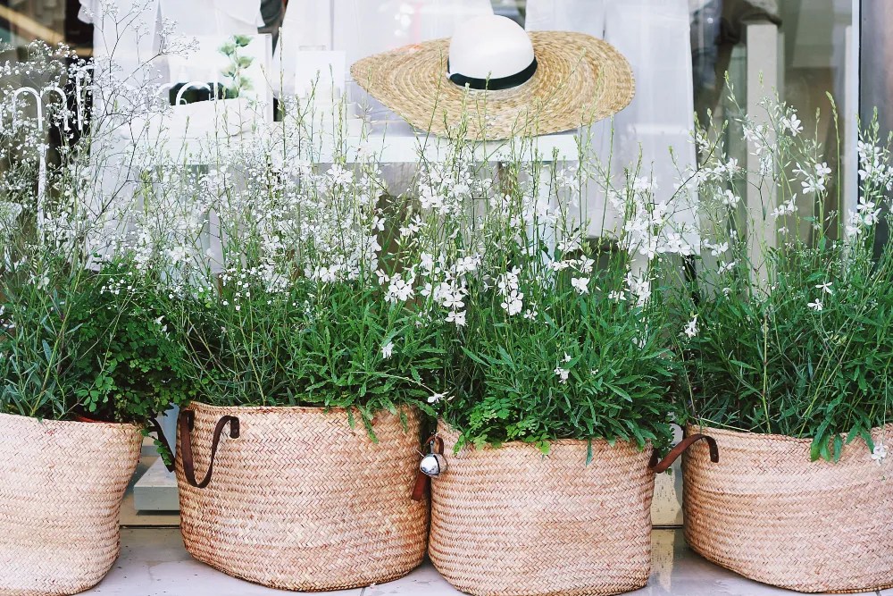 Wicker bag planters for spring garden