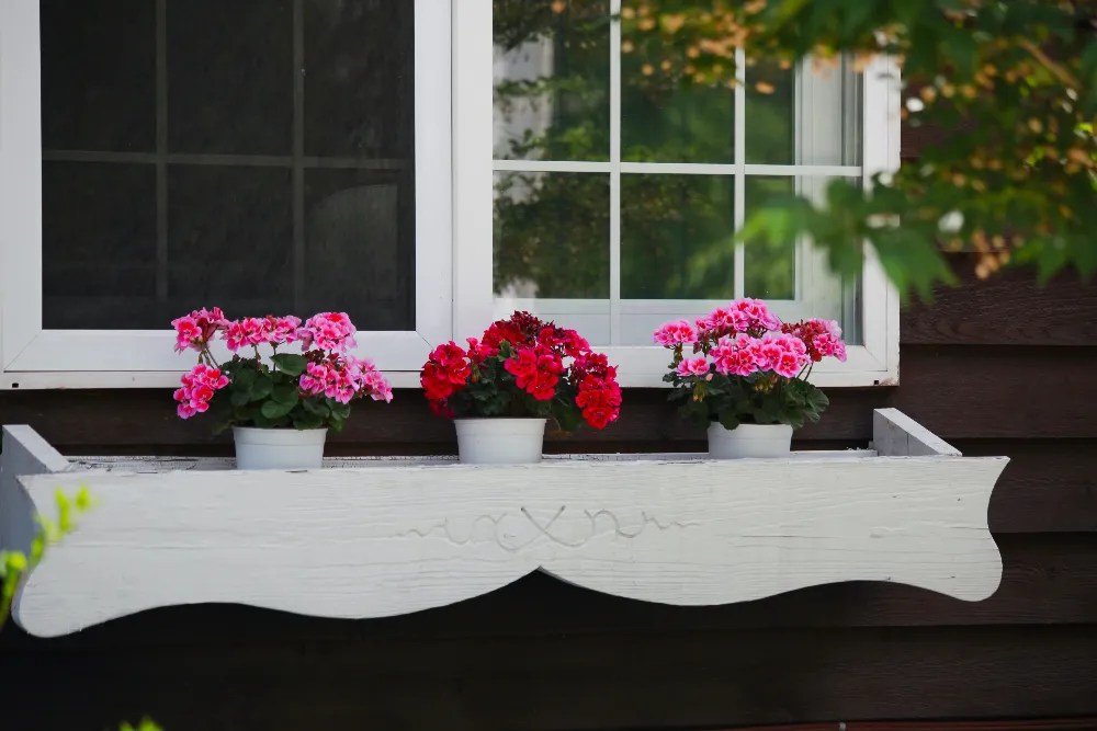 Window box planters with spring flowers