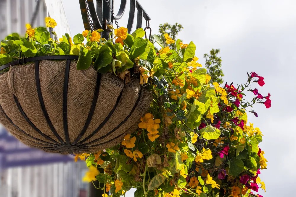 Hanging planters for flowers