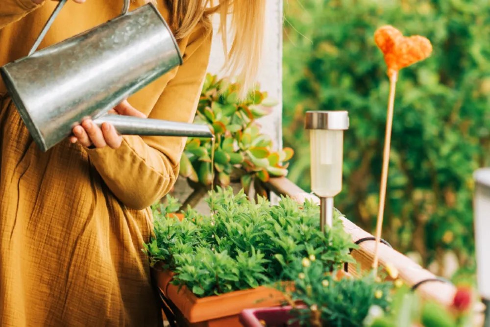 woman watering on balcony
