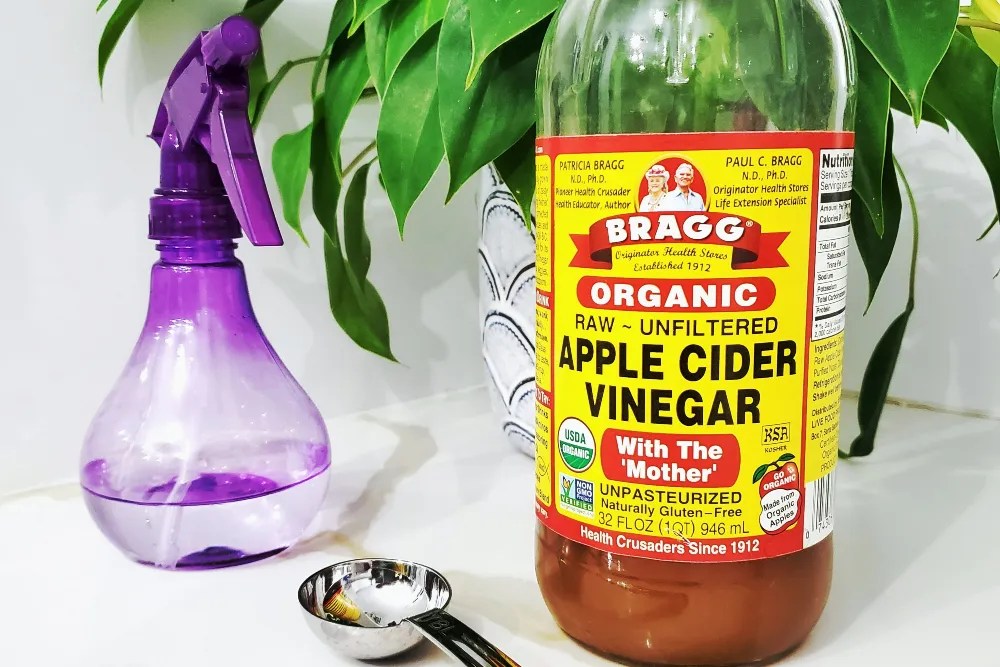 Apple cider vinegar beside a plant